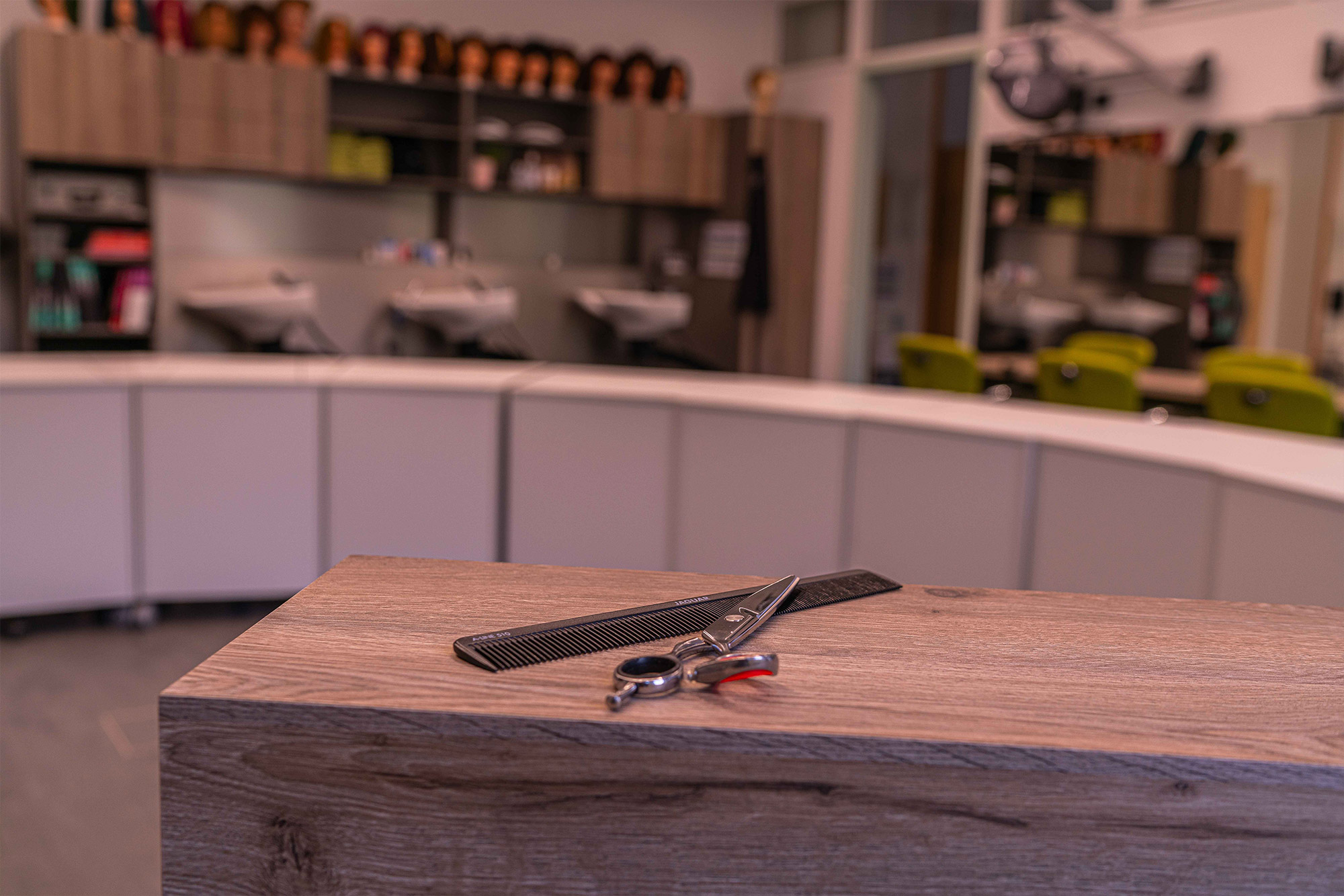 Alles über die Ausbildung